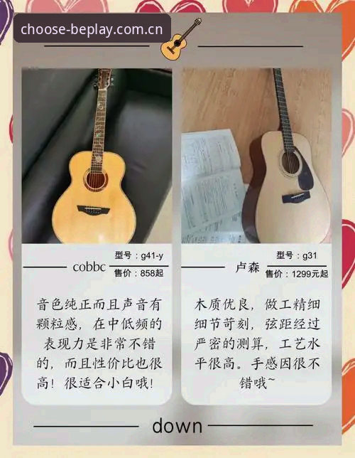 行家之选CN入口2026安卓版：从新手到老手的使用心得指南